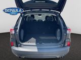 Certified 2022 Ford Escape SEL w/ SEL Stealth AWD Package image 6