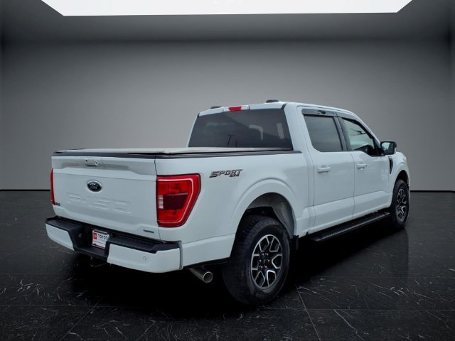 Used 2023 Ford F150 XLT w/ Equipment Group 302A High AWD/4WD image 3