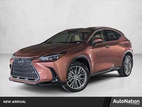 Used 2025 Lexus NX 350h AWD w/ Cold Area Package image 1