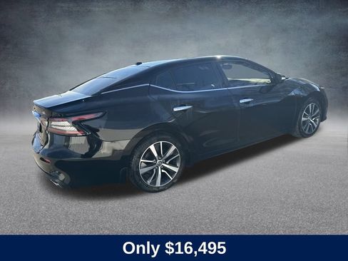 Used 2019 Nissan Maxima 3.5 SL image 4