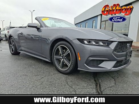 Used 2024 Ford Mustang Premium RWD image 1