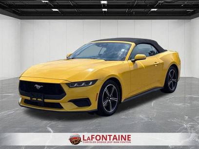 Used 2024 Ford Mustang Premium