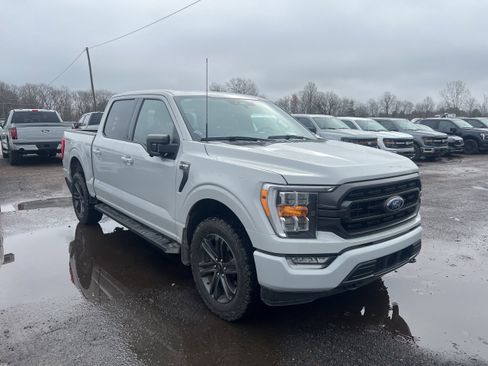 Used 2023 Ford F150 XLT w/ Equipment Group 302A High AWD/4WD image 2