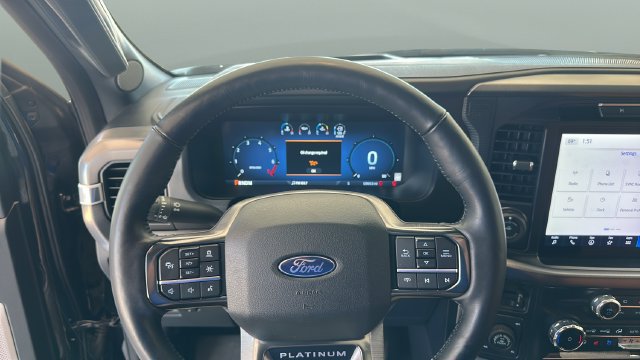 Used 2025 Ford F150 Platinum AWD/4WD image 14