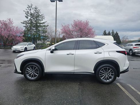 Used 2025 Lexus NX 350 AWD w/ Cold Area Package image 4