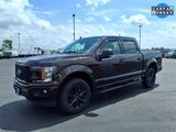 Used 2019 Ford F150 XLT w/ Equipment Group 302A Luxury image 3