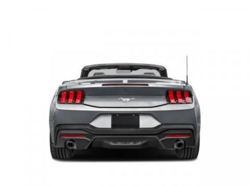Used 2024 Ford Mustang Premium image 5