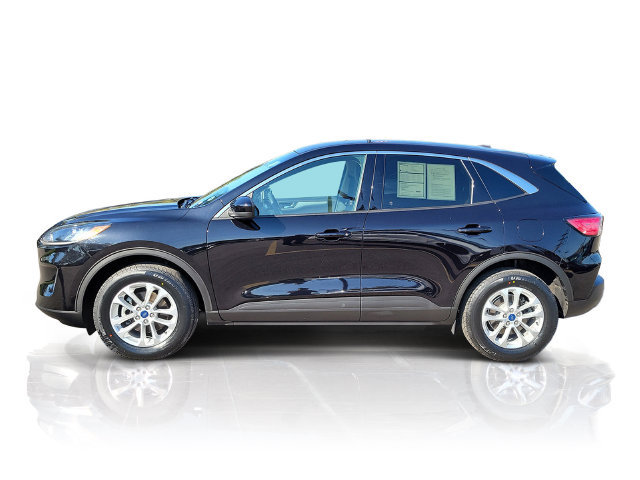 Used 2020 Ford Escape SE AWD/4WD image 4