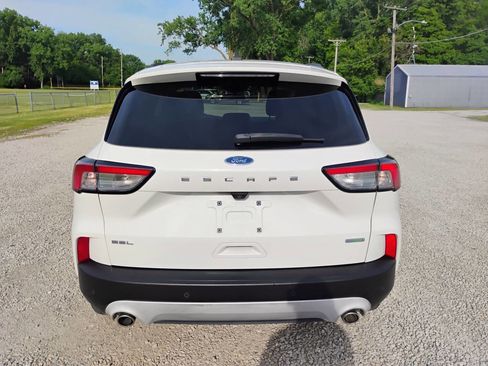 Used 2020 Ford Escape SEL FWD image 5