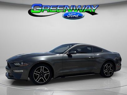 Used 2019 Ford Mustang Coupe w/ Equipment Group 101A