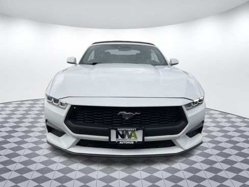 Used 2024 Ford Mustang Premium image 5