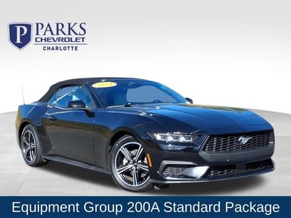 Used 2024 Ford Mustang Premium
