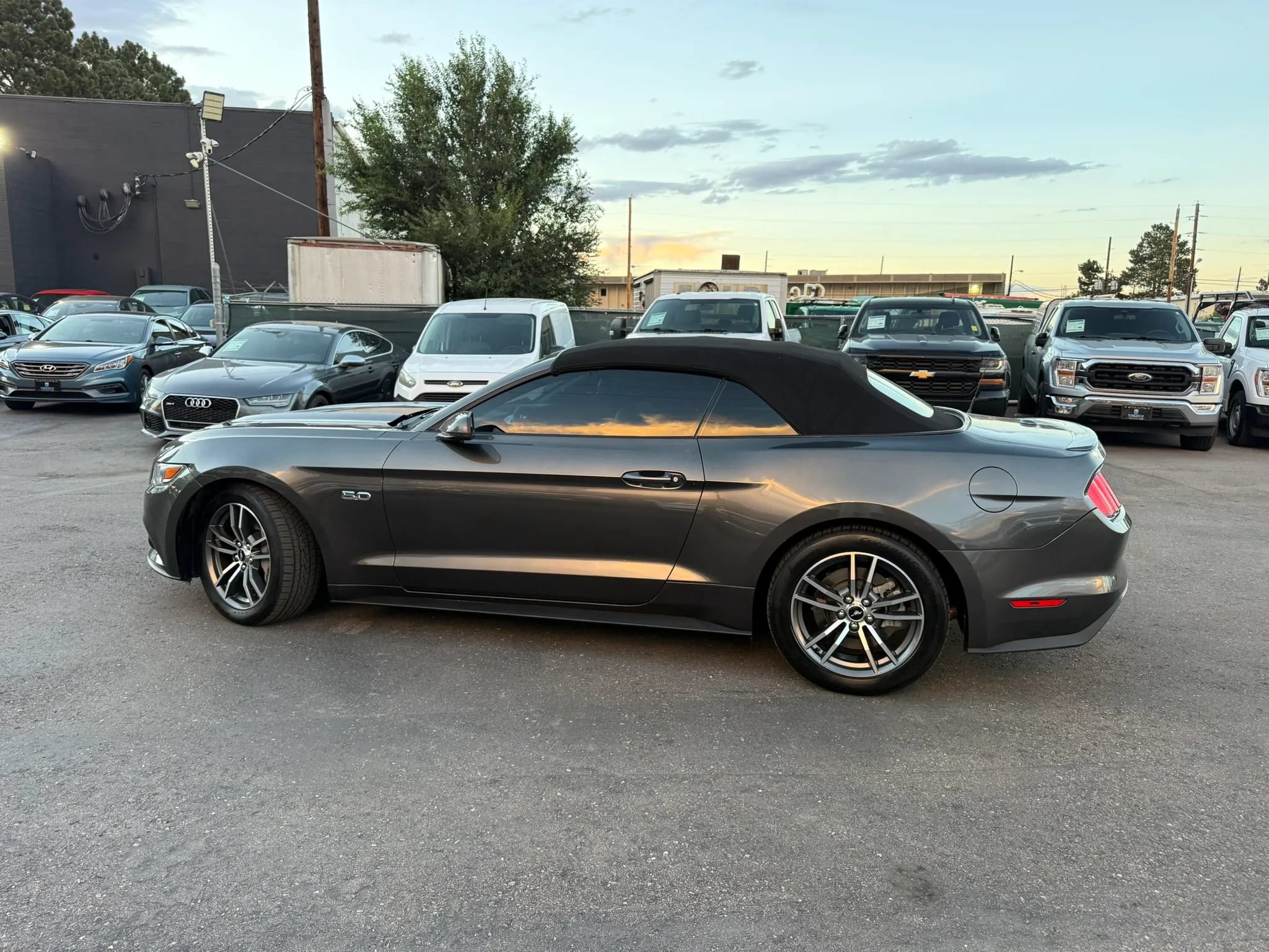 Used 2016 Ford Mustang GT Premium w/ Equipment Group 401A RWD image 3