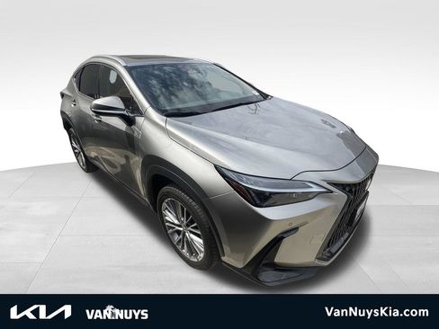 Used 2025 Lexus NX 350h AWD w/ Cold Area Package image 1