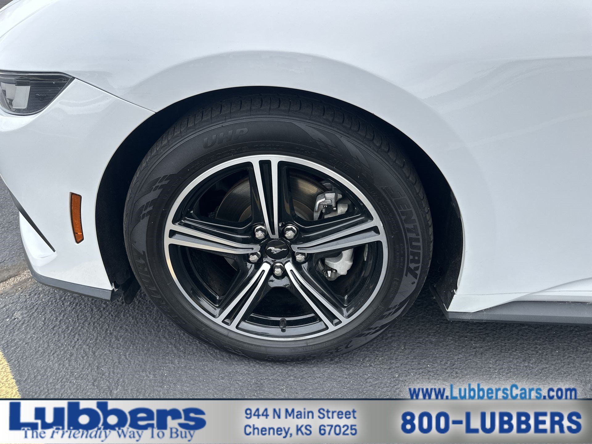 Used 2024 Ford Mustang Premium RWD image 10