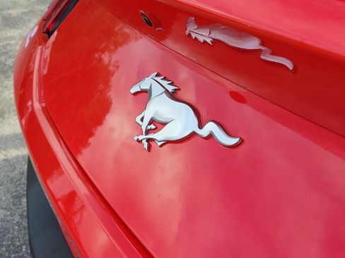 Used 2025 Ford Mustang Premium image 7