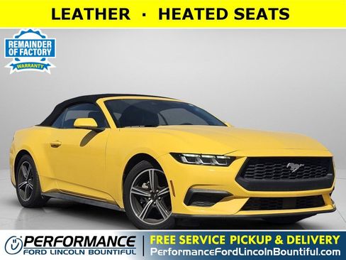 Used 2024 Ford Mustang Premium image 1