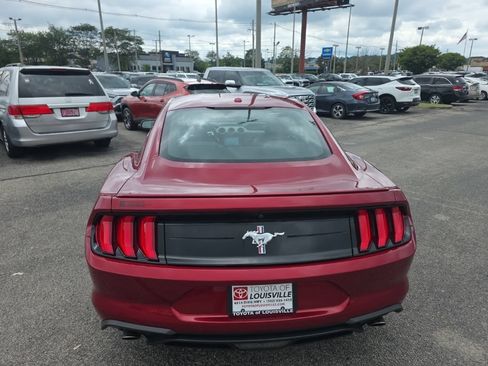 Used 2019 Ford Mustang Premium w/ Equipment Group 201A RWD image 5