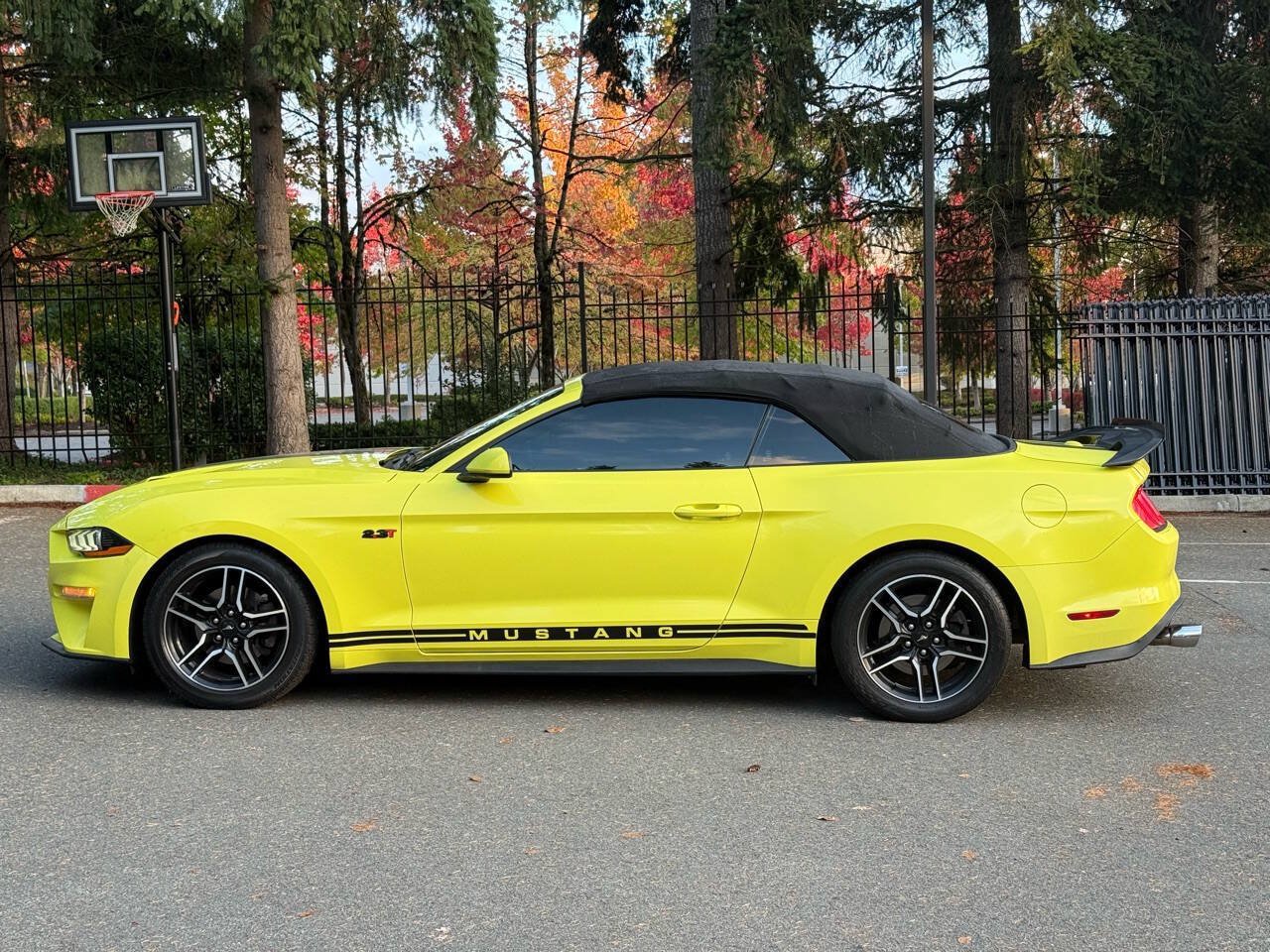 Used 2021 Ford Mustang Premium RWD image 3