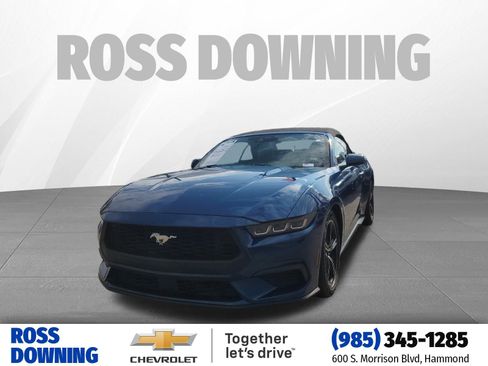 Used 2024 Ford Mustang Premium image 1