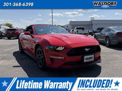 Used 2020 Ford Mustang Premium RWD image 1