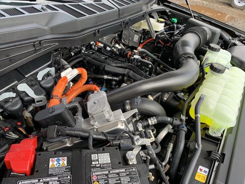 New 2025 Ford F150 XLT w/ Equipment Group 302A MID image 77