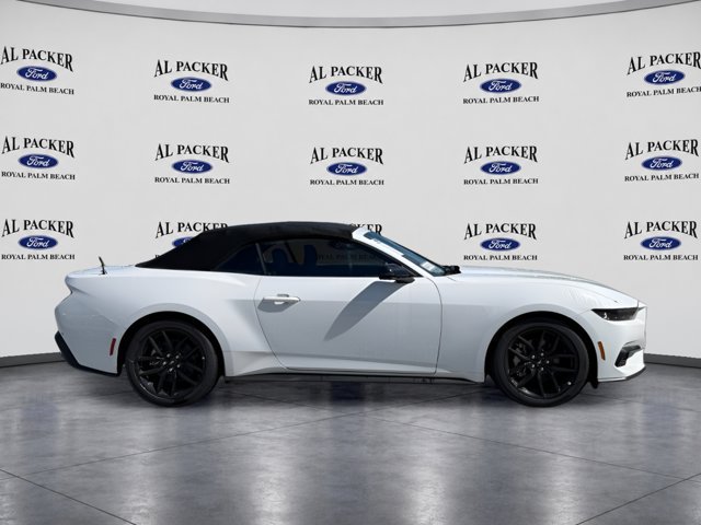 New 2026 Ford Mustang Convertible w/ Mustang Nite Pony Package RWD image 6