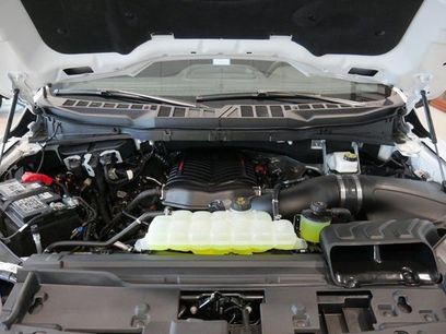 New 2025 Ford F150 XLT w/ Equipment Group 301A Standard