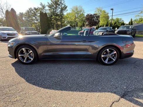 Used 2017 Ford Mustang Convertible w/ Equipment Group 051A RWD image 4