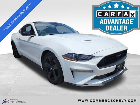 Used 2022 Ford Mustang Coupe w/ Equipment Group 101A RWD image 1