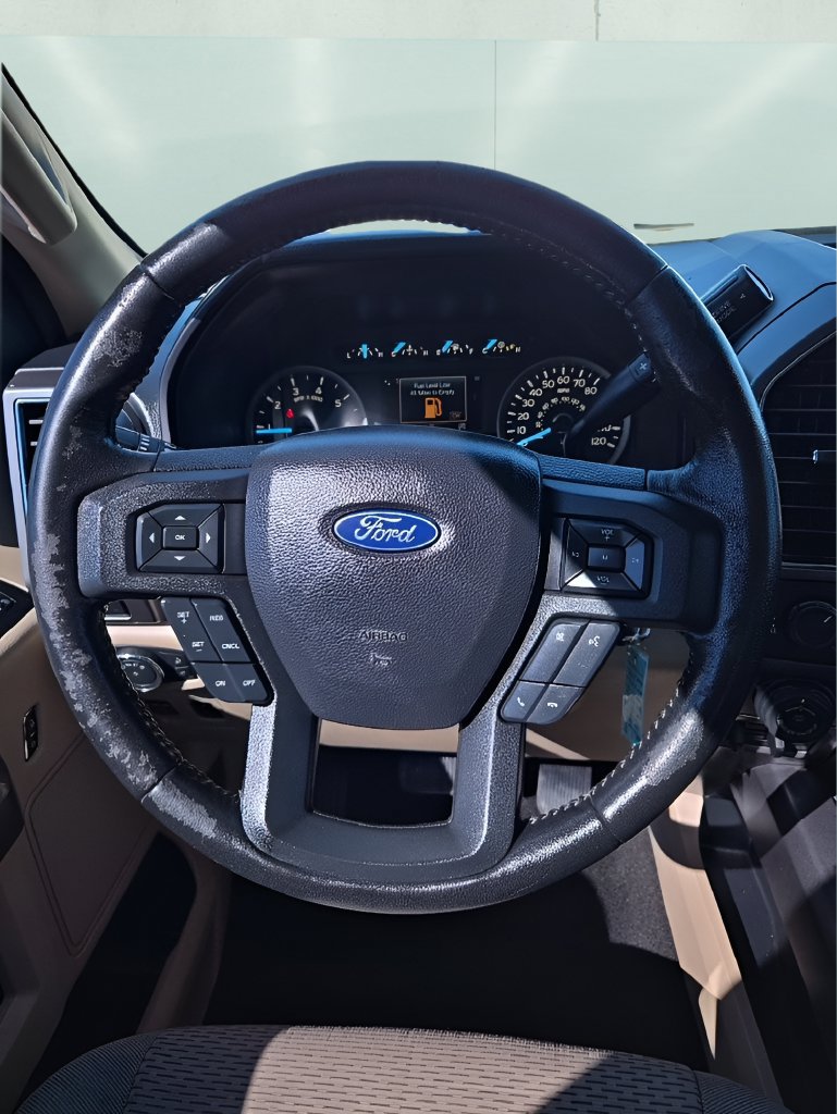 Used 2019 Ford F150 XLT w/ Equipment Group 302A Luxury AWD/4WD image 22