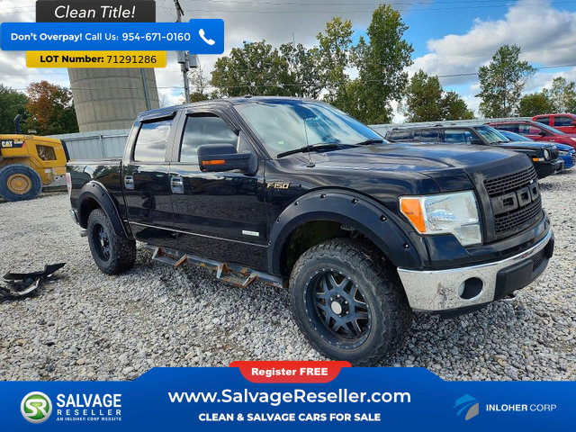 Used 2013 Ford F150 XLT w/ Luxury Equipment Group AWD/4WD image 5
