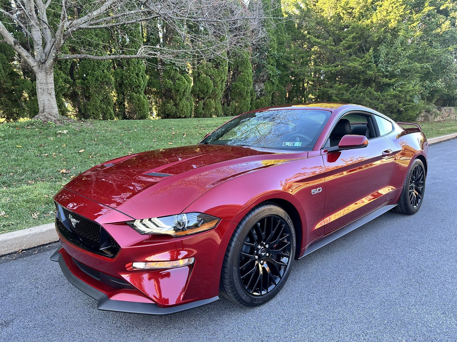 Used 2019 Ford Mustang GT Premium w/ GT Performance Package RWD image 40