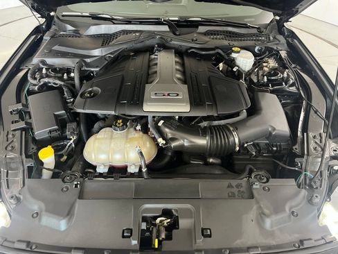 Used 2019 Ford Mustang GT w/ Equipment Group 301A RWD image 9