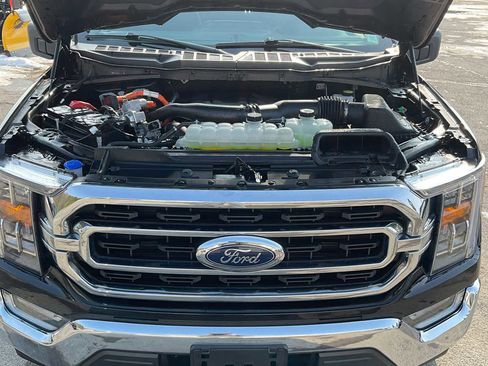 Used 2023 Ford F150 XLT w/ Equipment Group 302A High image 21