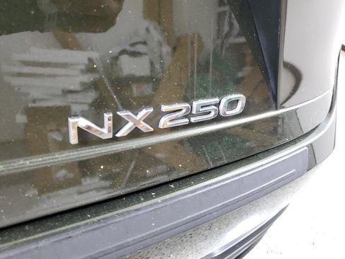 Used 2024 Lexus NX 250 FWD w/ Cold Area Package image 6