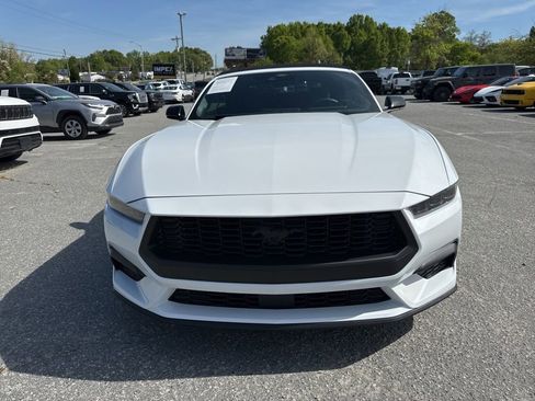 Used 2026 Ford Mustang Convertible w/ Mustang Nite Pony Package image 8