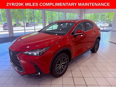 Certified 2024 Lexus NX 250 FWD w/ Cold Area Package image 3