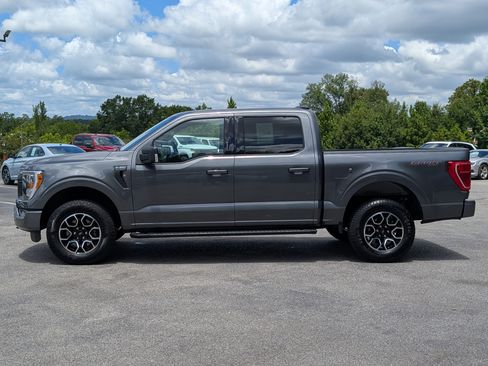 Used 2023 Ford F150 XLT w/ Equipment Group 302A High AWD/4WD image 6