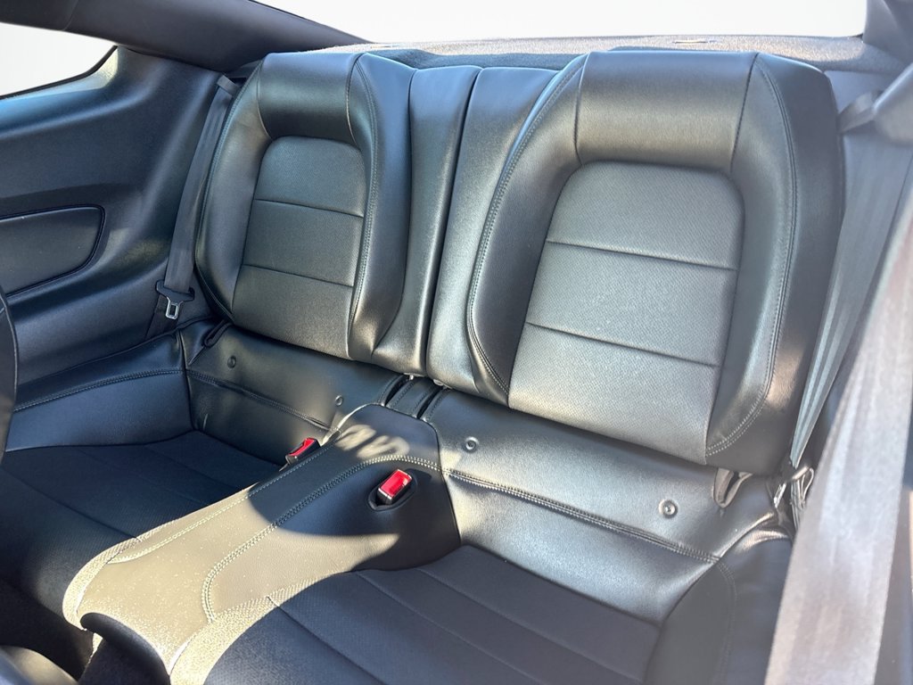 Used 2019 Ford Mustang Bullitt RWD image 22