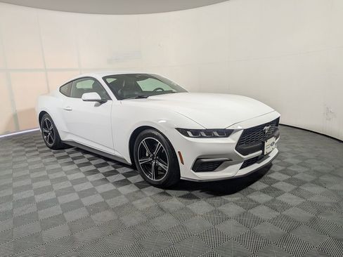 Certified 2024 Ford Mustang Premium image 1