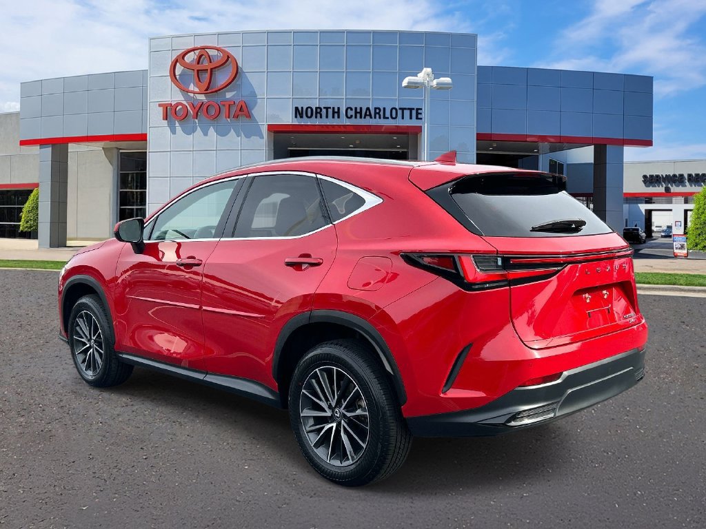 Used 2025 Lexus NX 350h AWD w/ Cold Area Package image 6