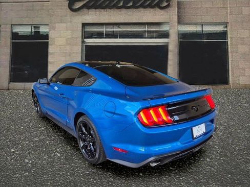 Used 2019 Ford Mustang Premium w/ Equipment Group 201A image 3