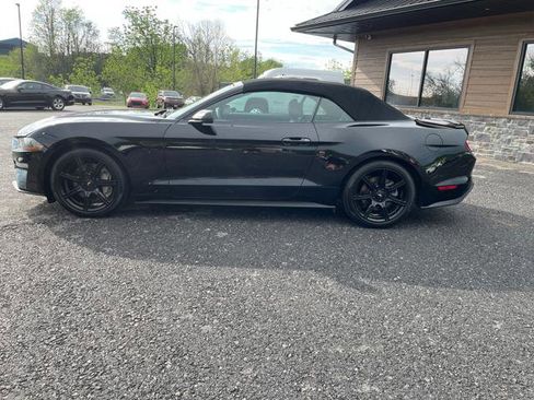 Used 2019 Ford Mustang GT Premium w/ Black Accent Package RWD image 3