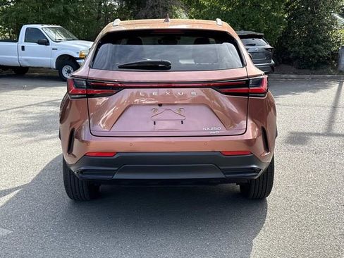 Used 2025 Lexus NX 250 AWD w/ Accessory Package (2T) image 3