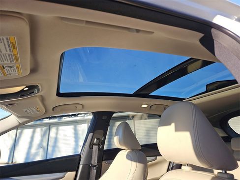 Used 2020 INFINITI QX50 Luxe w/ Cargo Package image 16