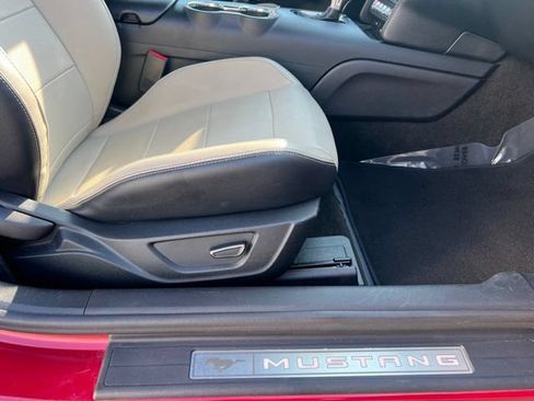 Used 2016 Ford Mustang Premium w/ Equipment Group 201A RWD image 12