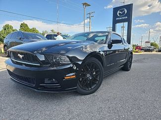 Used 2014 Ford Mustang Coupe w/ Equipment Group 102A image 1