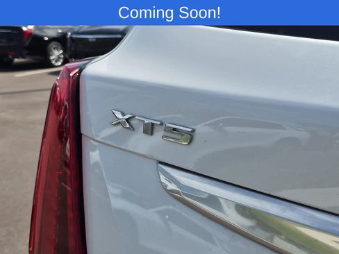 Used 2023 Cadillac XT5 Premium Luxury AWD/4WD image 12