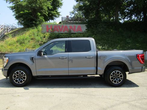 Used 2021 Ford F150 XLT w/ Equipment Group 302A High AWD/4WD image 1